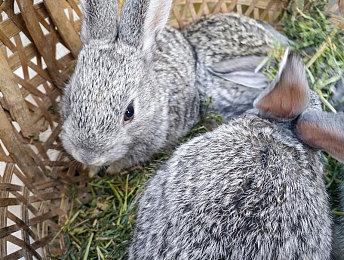 吸取前作教训 CDPR高管透露《巫师4》主机性能评估已开始